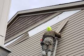 Best Weatherproofing and Sealing  in Davis Junction, IL